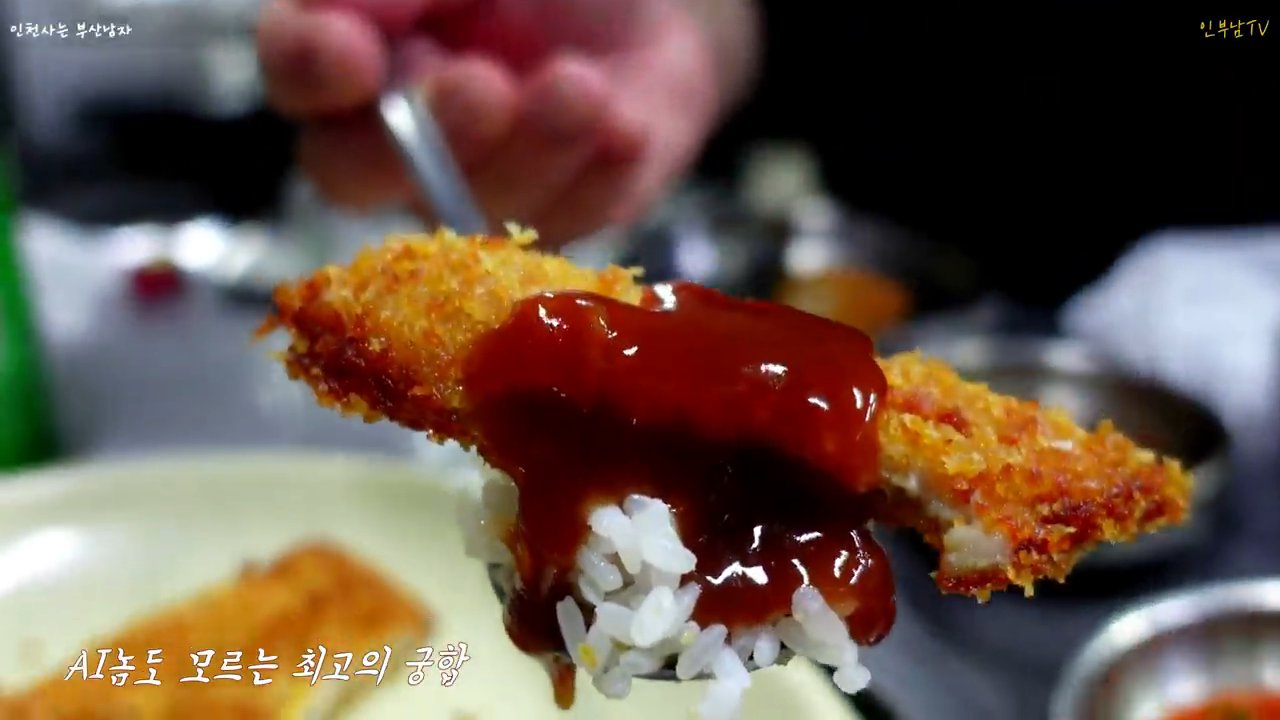 소스를 올린 수제돈까스